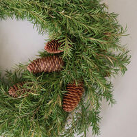 Pine Krans Groen