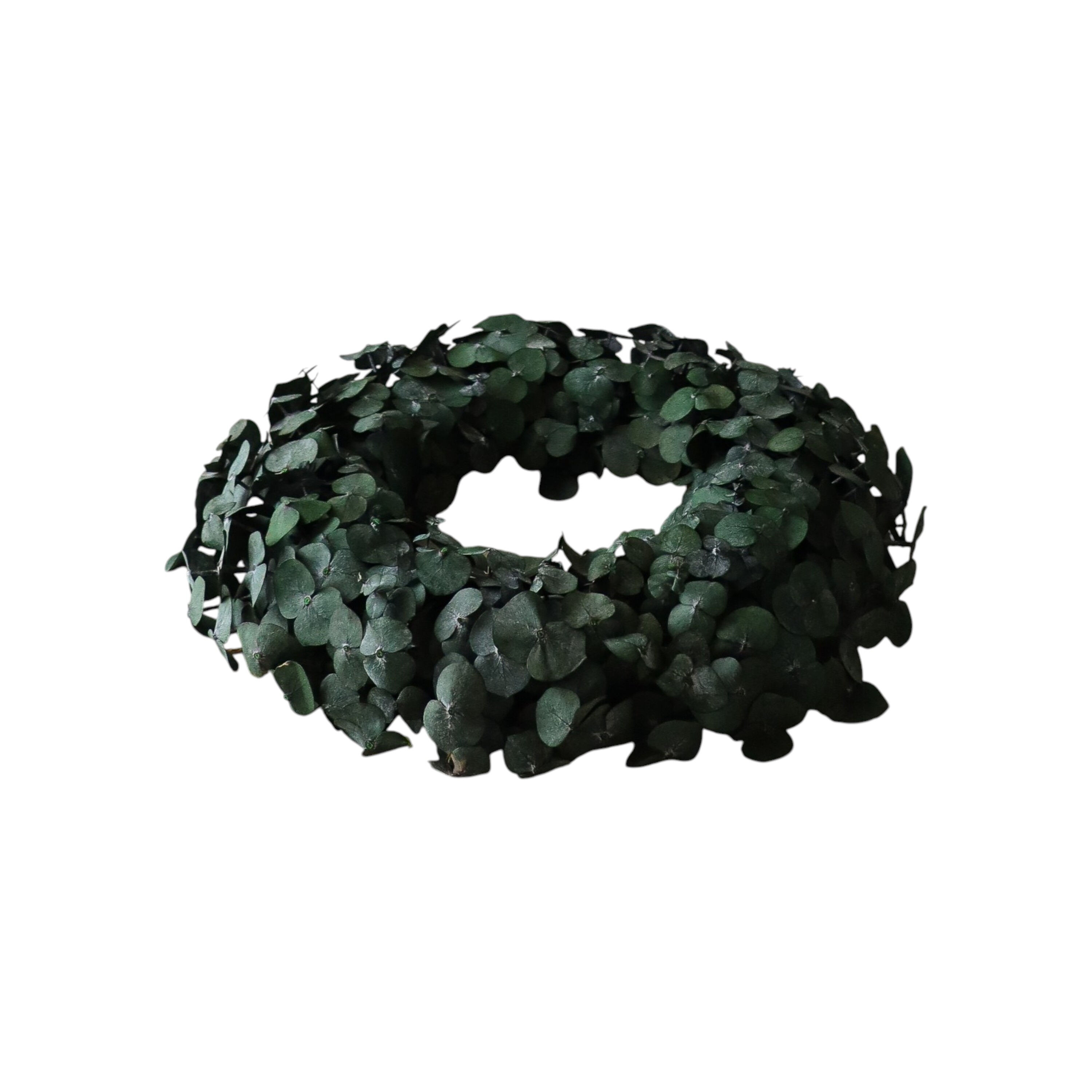 Eucalyptus Halo Green