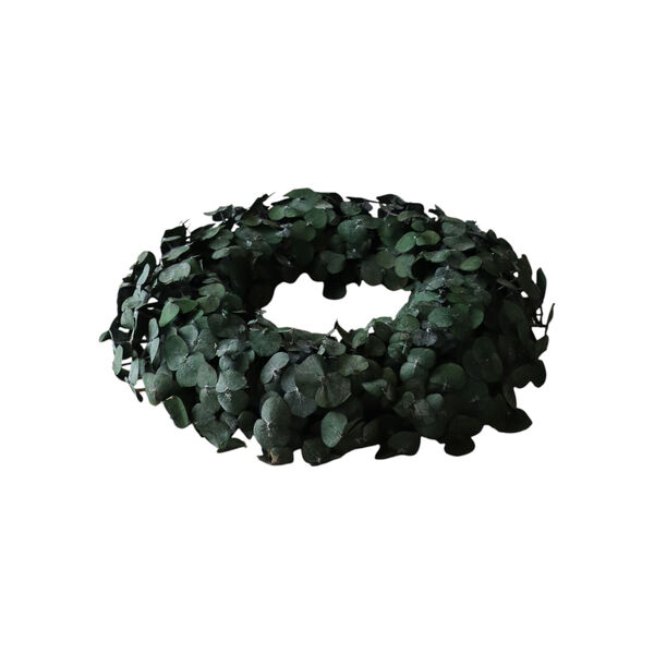 Eucalyptus Halo Green