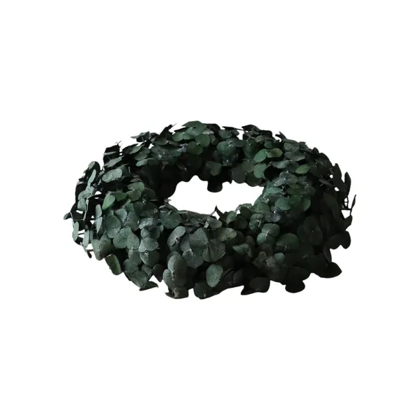 Eucalyptus Halo Green