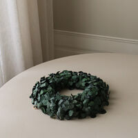 Eucalyptus Halo Green