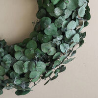 Eucalyptus Halo Green