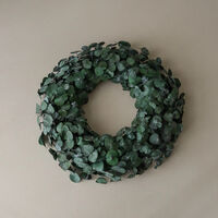 Eucalyptus Halo Green
