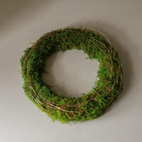Halo Moss Wreath Green