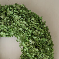 Hydrangea Wreath Green