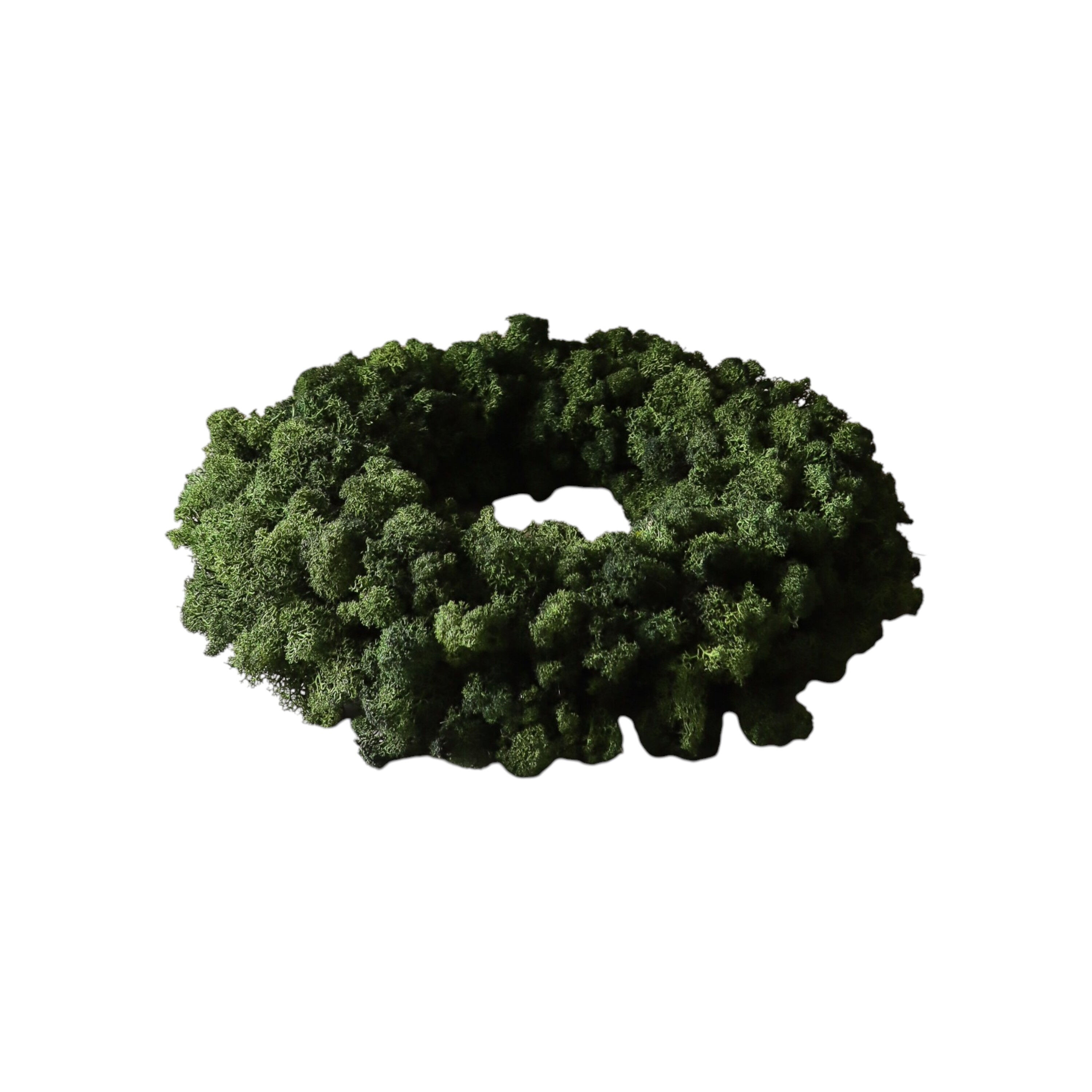 Moss Wreath Green