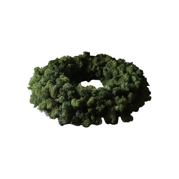 Moss Wreath Green