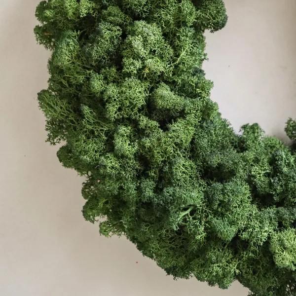Moss Wreath Green