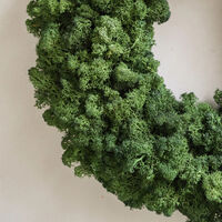Moss Wreath Green