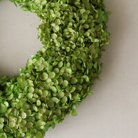 Hydrangea krans lichtgroen