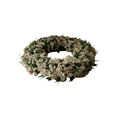 Whisper Meadow Wreath Green