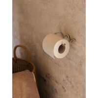 Curvature Toilet Paper Holder Stainless Steel