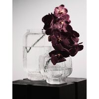 Mokuri Vase H25 cm Clear