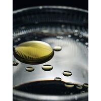 Ripple Thermal Glasses Set of 2 Clear