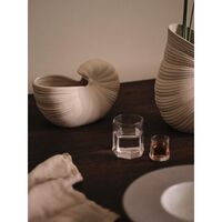 Shell Pot 23 cm Off-White