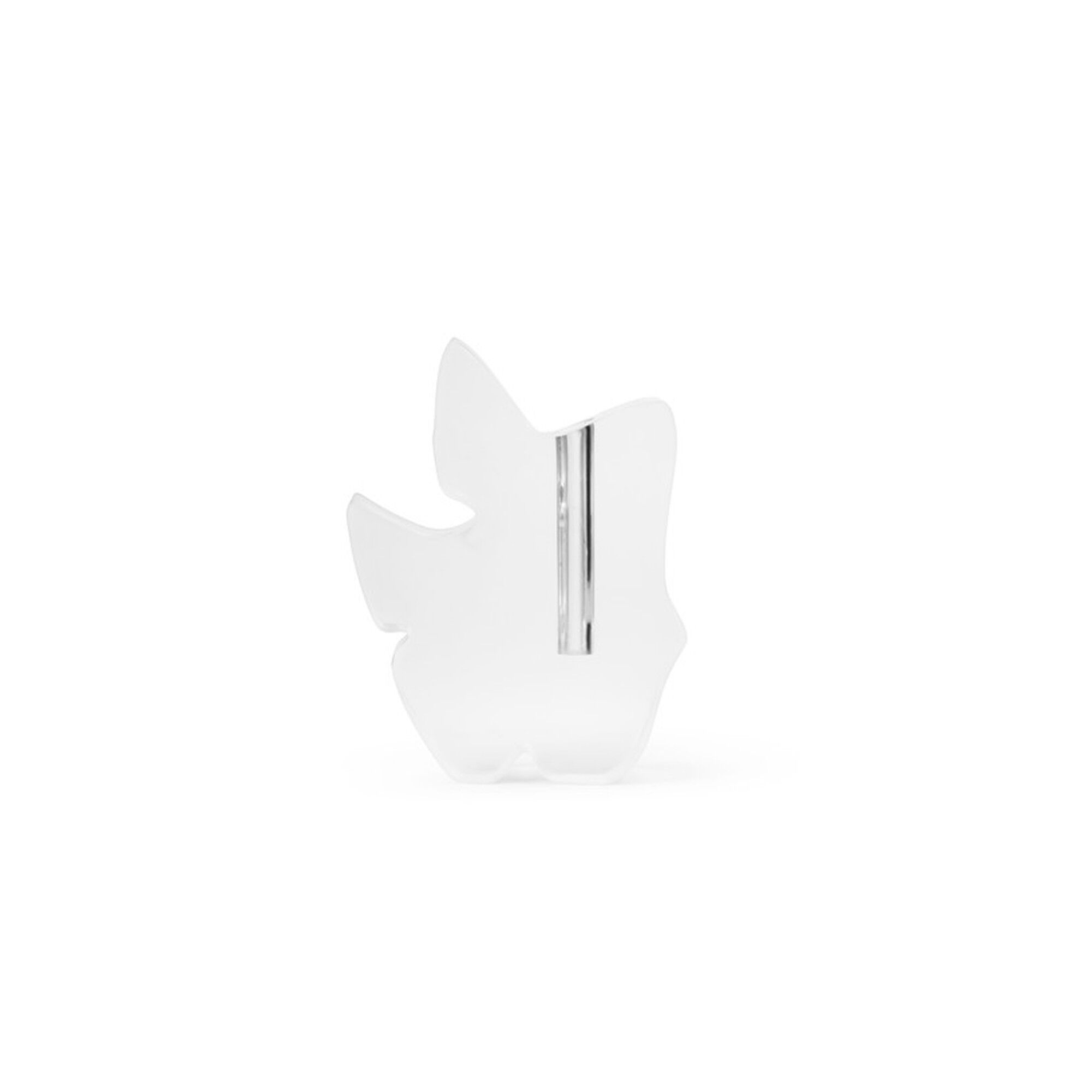 Draw Vase Stor Transparent