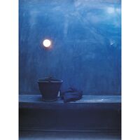Glo-Ball Mini C/W Wall and Ceiling Lamp