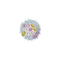 Bloom CW2 Applique Lavanda
