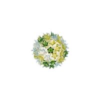Bloom CW2 Applique Menta