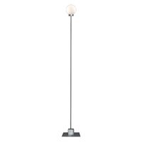 Zilver / Wit