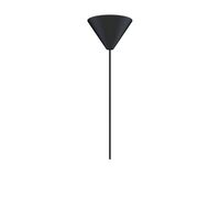 Cone Rosette Black