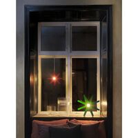 Fling 33 Kerstster Wit
