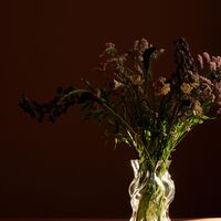 VENA Vase Small Clear