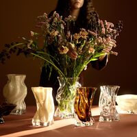 VENA Vase Small Clear