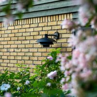 Morph Outdoor Wall 30 Black