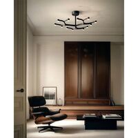 Fronda 12 Loftlampe Black 9005