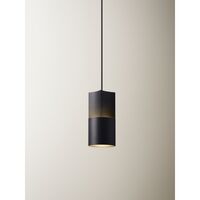 Concave 10 Pendant Ash