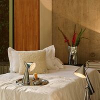 Pose Portable Lamp Silver