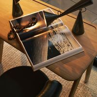 Pose Portable Lamp Kelp