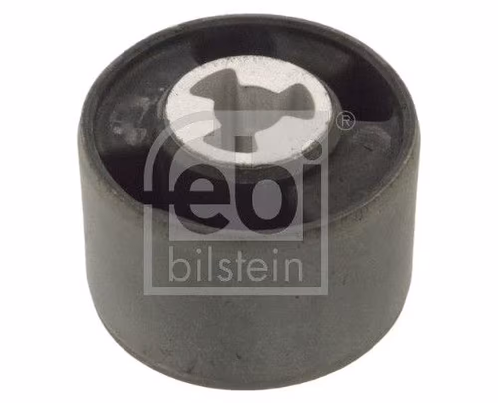 Fäste, differential