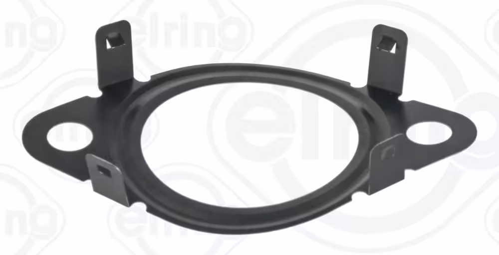 Packning, EGR-ventilledning