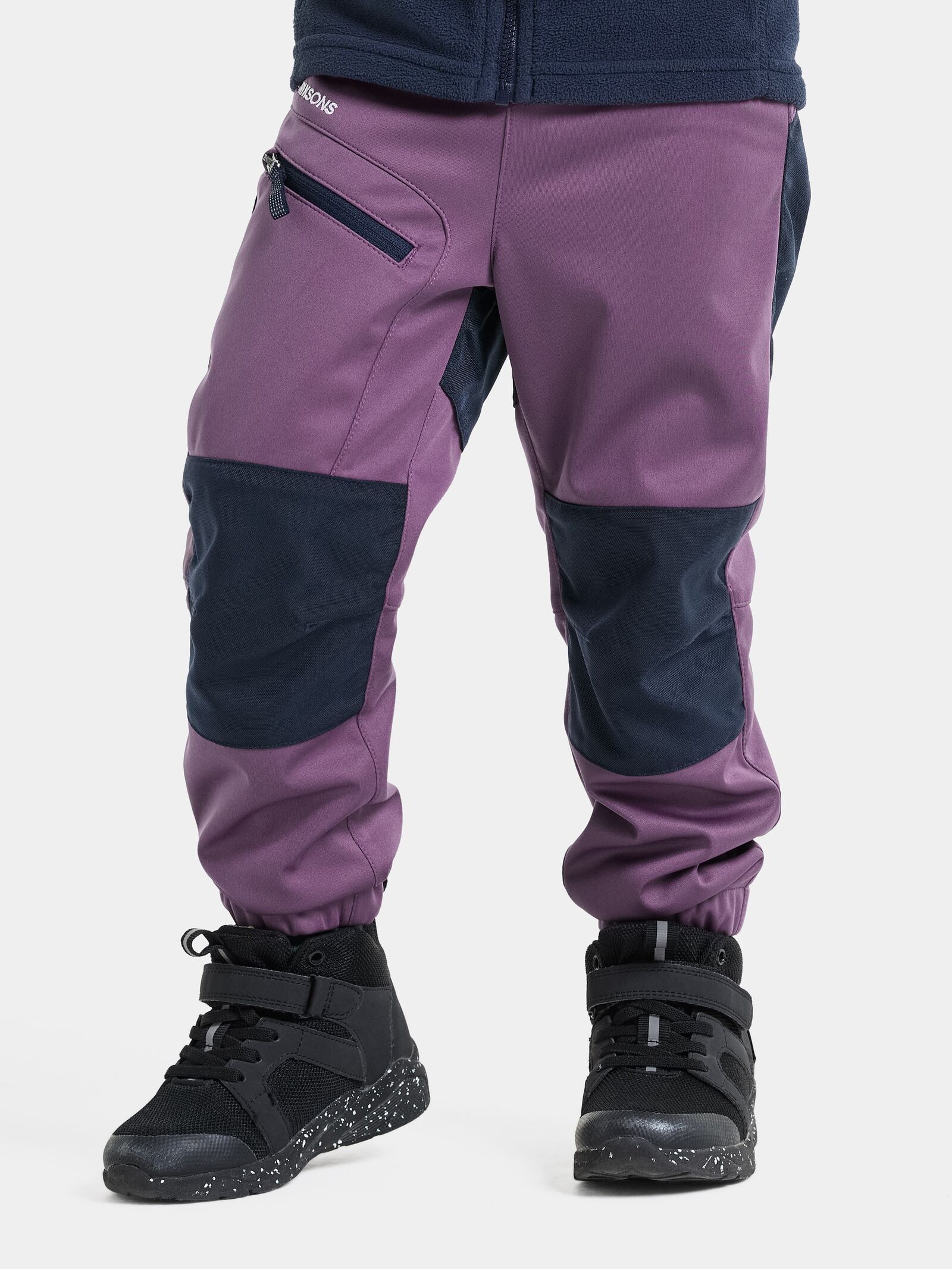 Eggplant