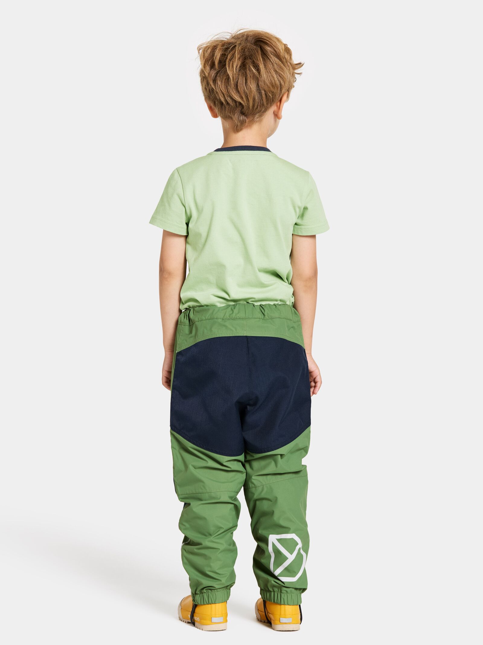 Algae Green