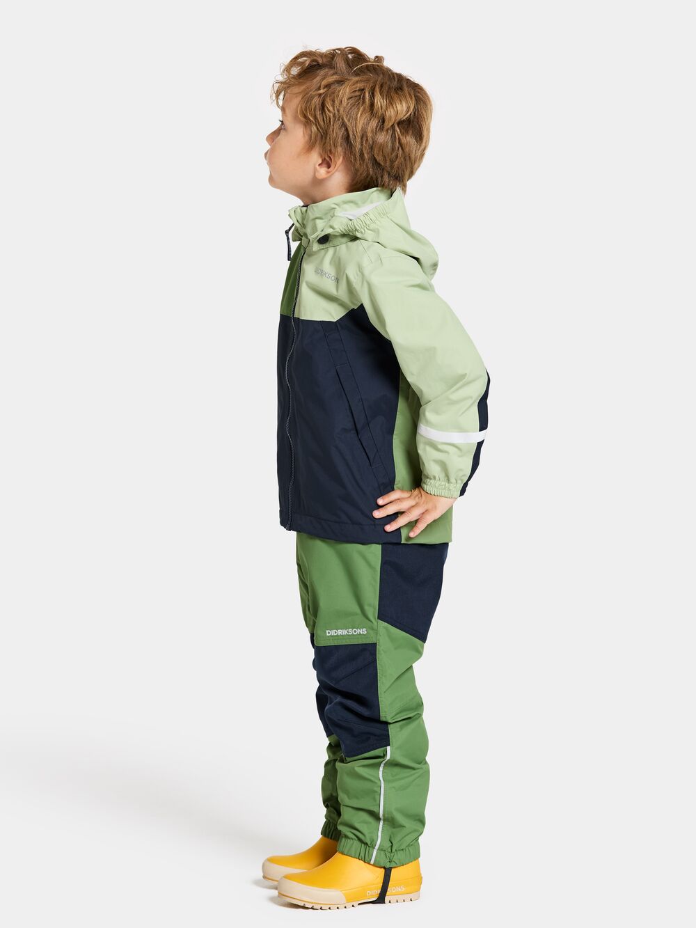 Light Algae Green