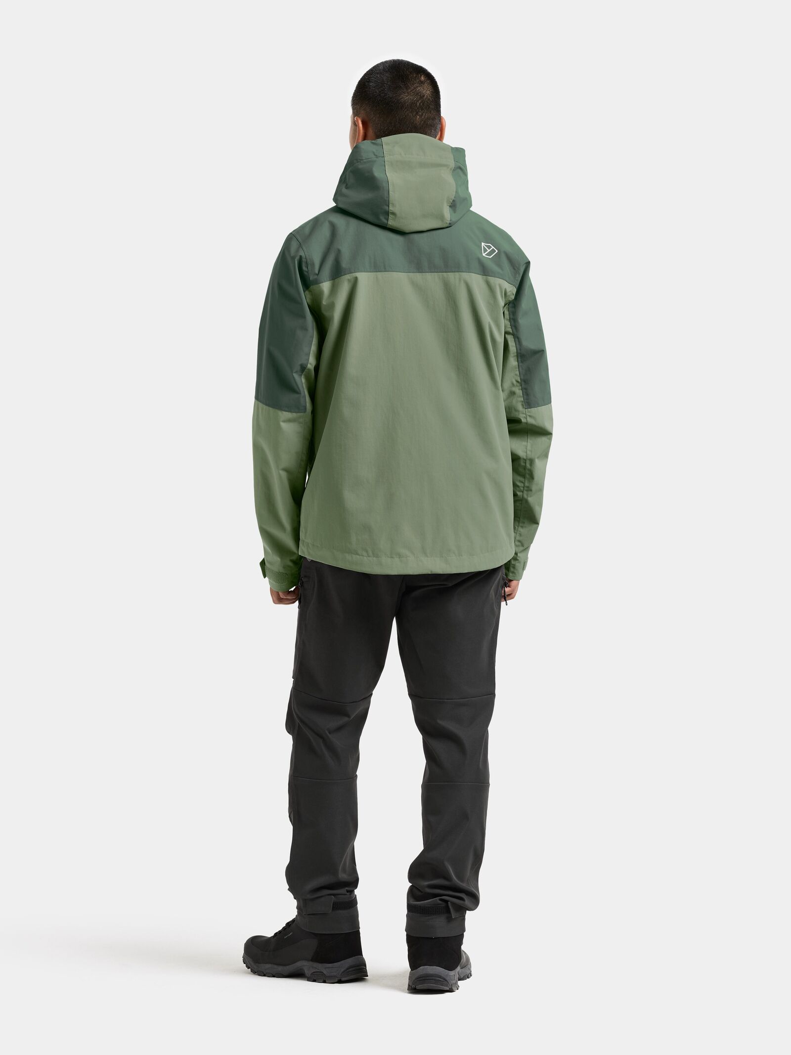 Light Moss