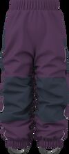 Northen Purple