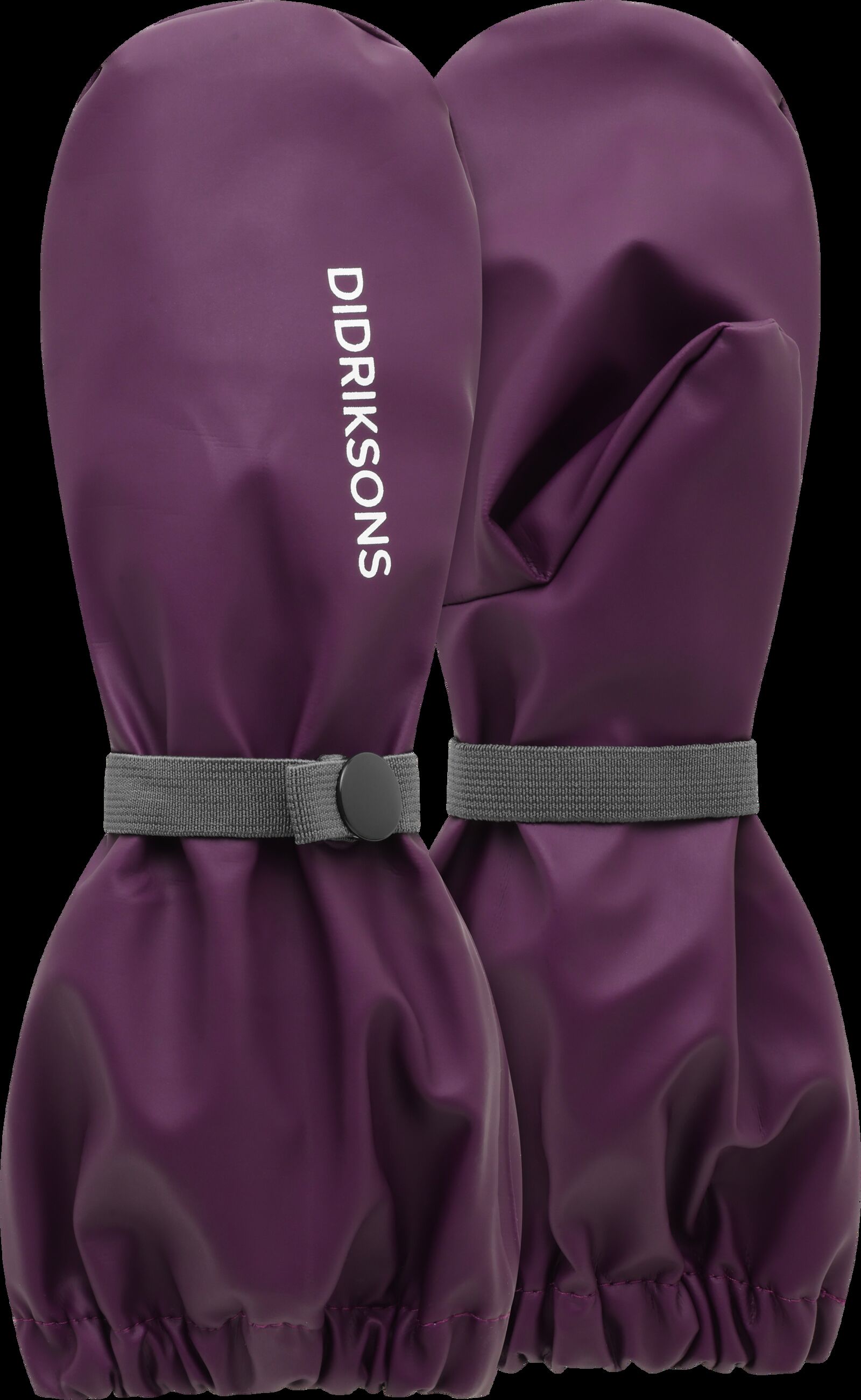 Northen Purple