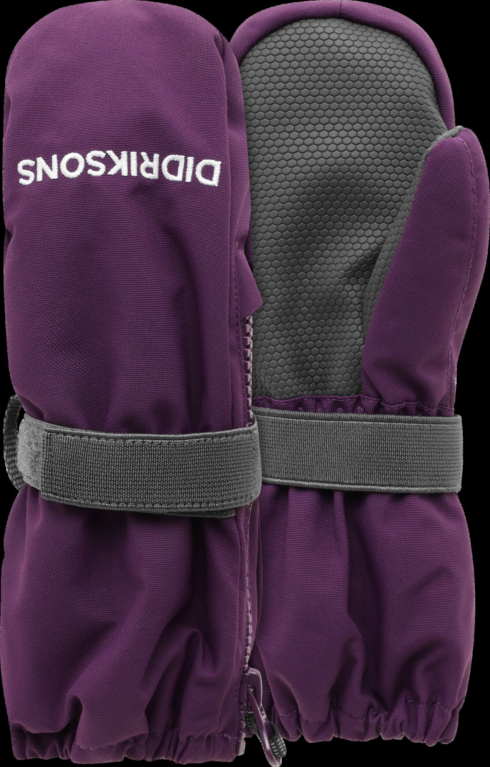 Northen Purple