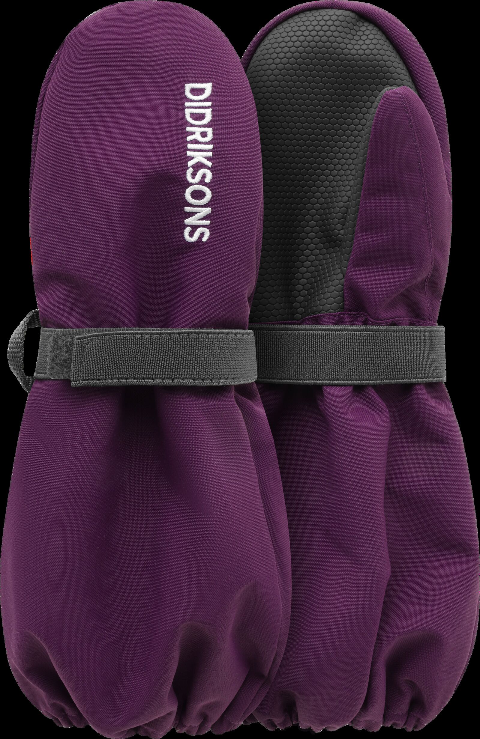 Northen Purple