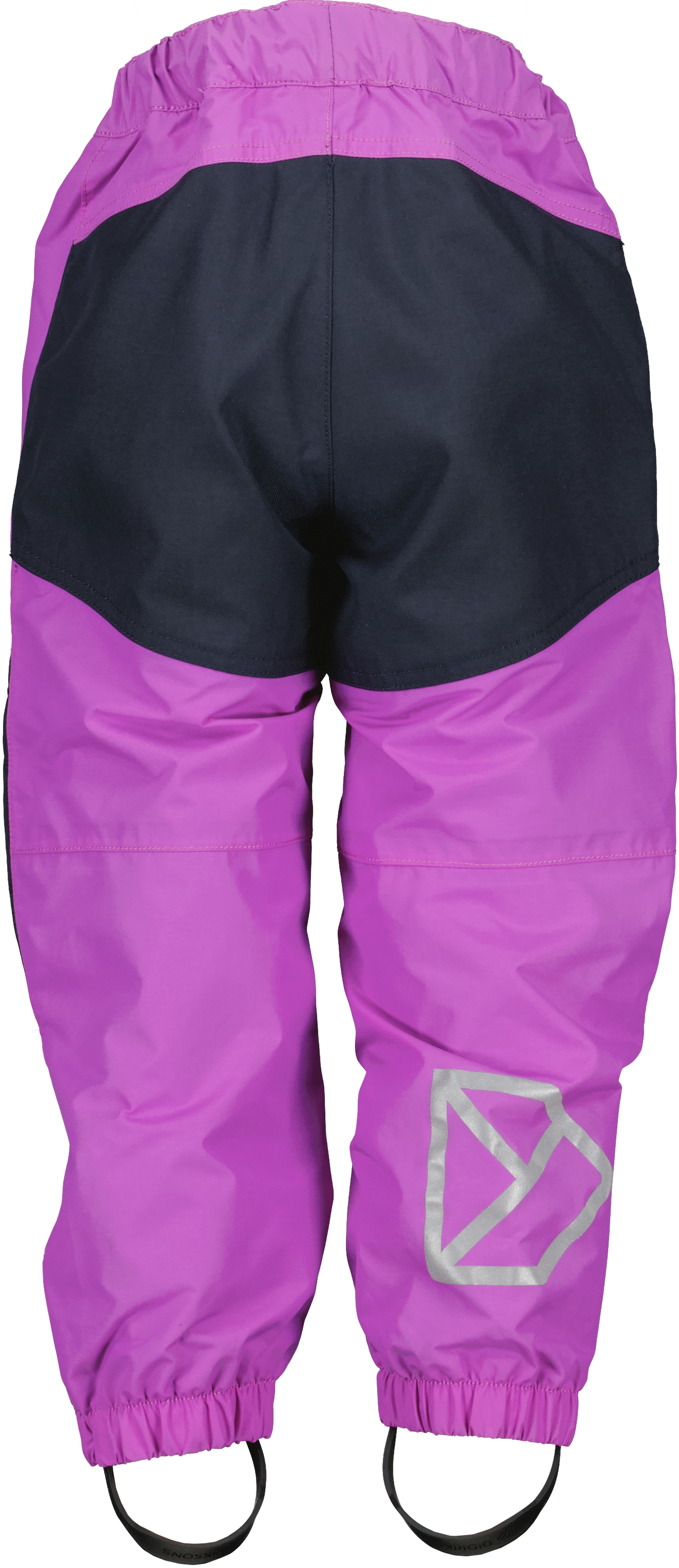 Tulip Purple