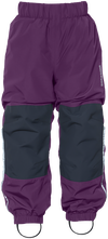Northen Purple