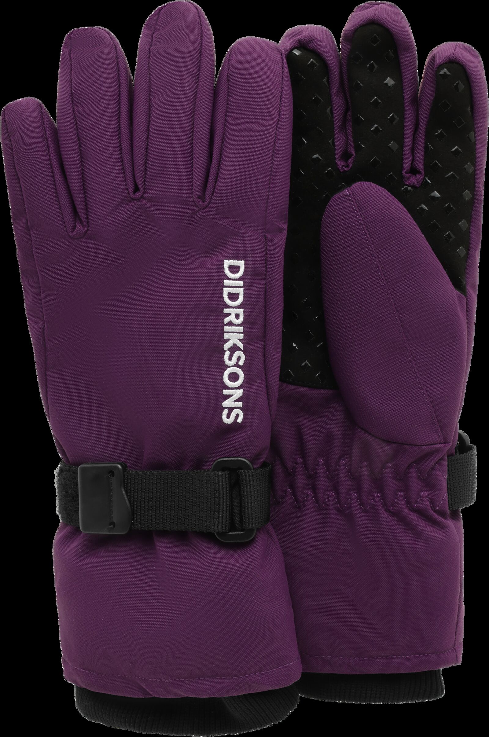 Northen Purple