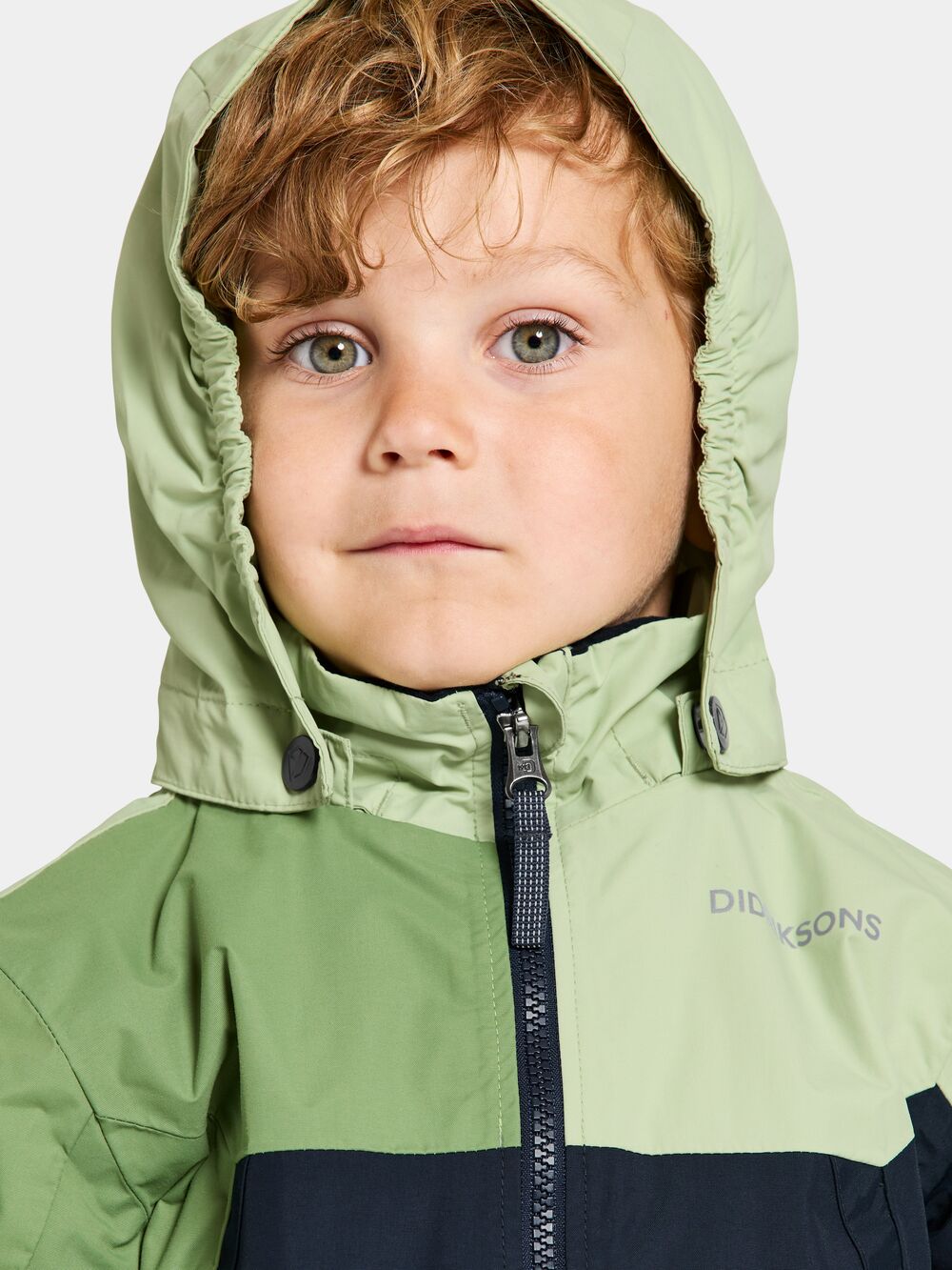 Light Algae Green