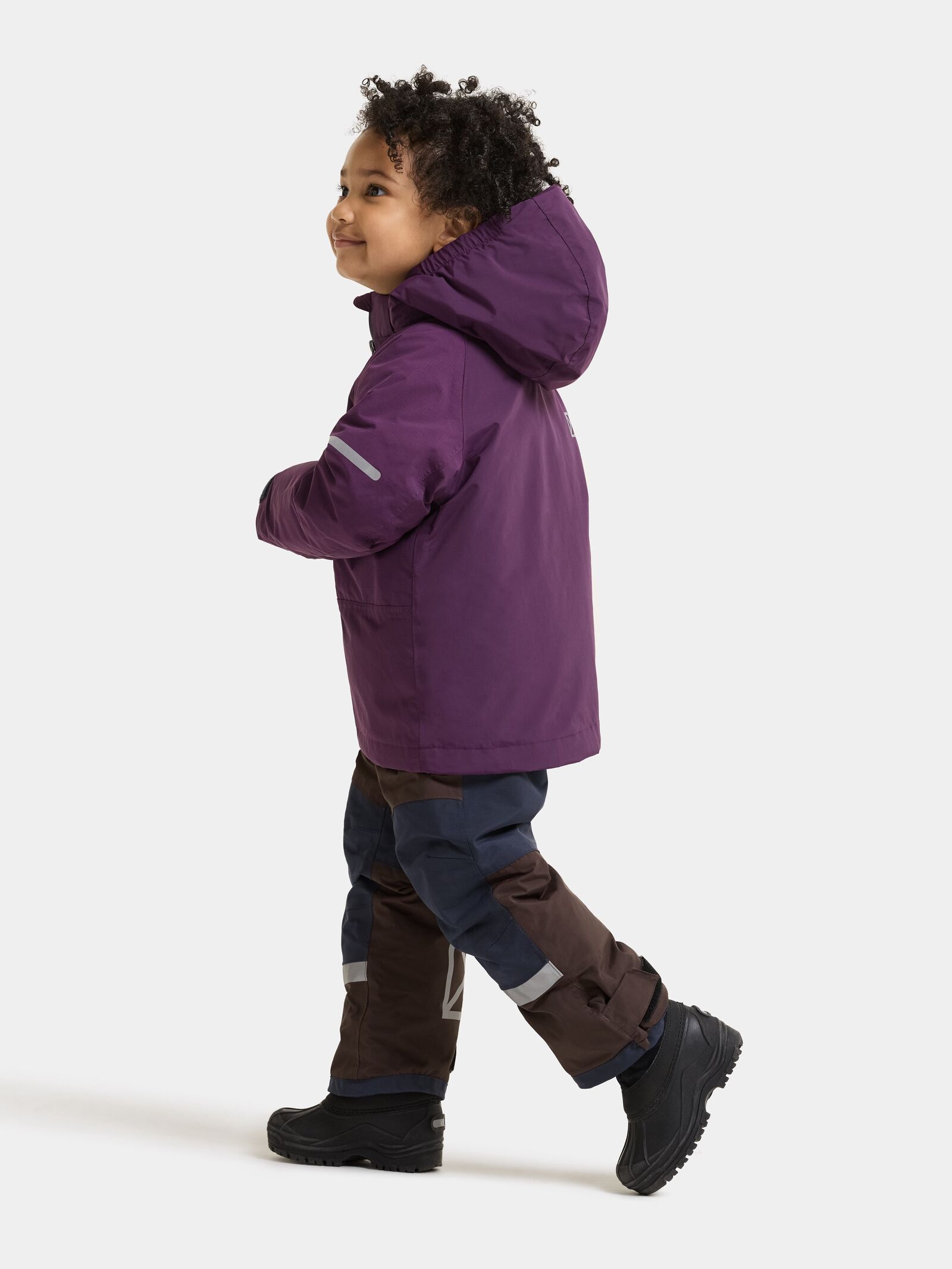 Northen Purple