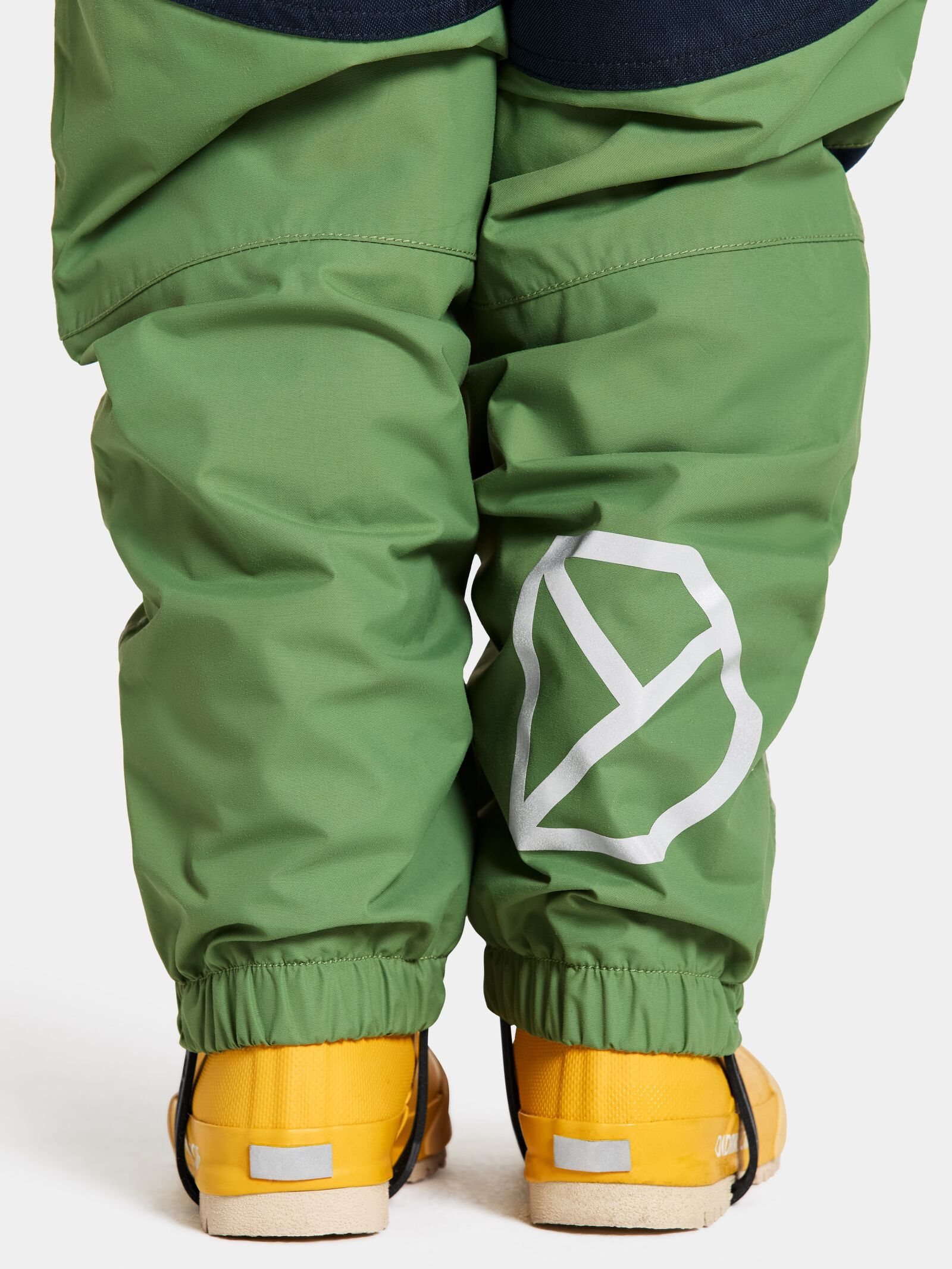 Algae Green