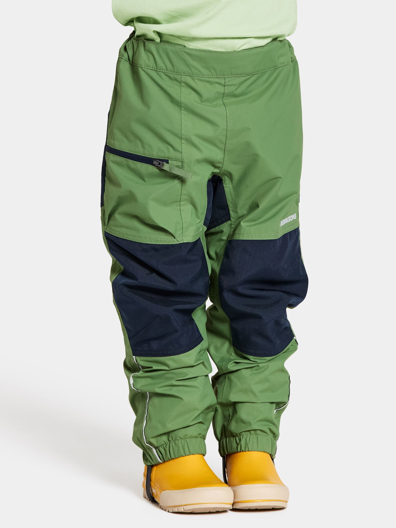 Algae Green